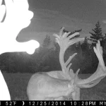 Trailcam2015 05