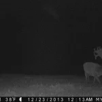 Trailcam14 14